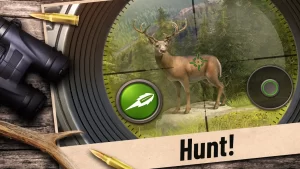 Hunting Clash Mod APK 2022 (Unlimited Money/Gold, Free Shopping) 3